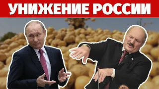 Зачем Путин унижается и спасает Лукашенко?