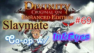 Divinity: Original Sin - Enhanced Edition Part 69. Failed to Apply Intelligence. Tactician LoneWolf