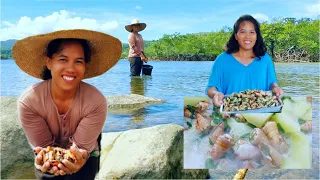 Paninihi ng Sea Shells + Ginataan sa Papaya at Malunggay | Buhay Probinsya