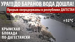 УРА! ВОДА ДОШЛА ДО БАРАНОВ! КАК ЛЮДИ ПОДЛО ВОРУЮТ ВОДУ. ДАГЕСТАН, КИЗЛЯР, БРЯНСК, ТУШИЛОВКА 21/07/20