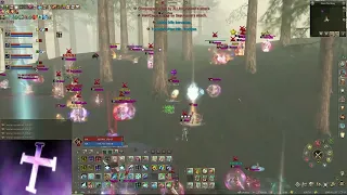 ZGAMING ESSENCE Siege/PVP BlackCrusaderS