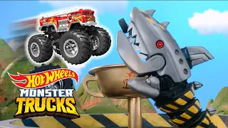 MONSTER TRUCKS RACES: Mountains VS Islands! ⛰️🏝️ | Hot Wheels