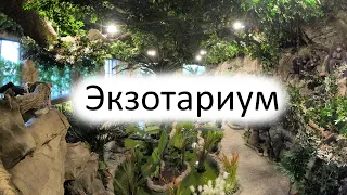 "Экзотариум" парка Лога 08.05.2023г.