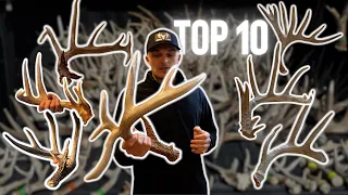 MY TOP 10 SHED ANTLERS // Big Whitetail Deer