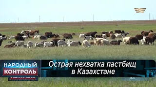 Острая нехватка пастбищ в Казахстане