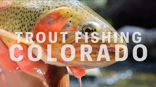 The best canyon trout fishing | Dangerous day full of massive trout | Fly fishing Colorado