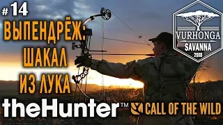 theHunter Call of the Wild #14 🔫 - Выпендрёж: Шакал из Лука - Лук - Буйвол, Шакал, Куду