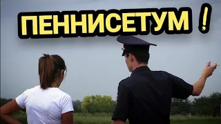 Октябрьская 🔥Сeмья лишилась годового дохода из-за крупной агрофирмы 3намя Октября ? Часть 3