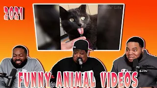 Funniest Dogs And Cats Videos - Best Funny Animal Videos of the 2021 😃 (Try Not To Laugh)
