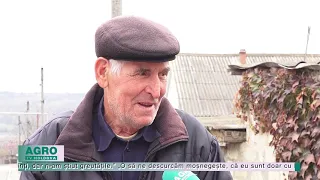 AGRO TV News – 03. 11. 2021