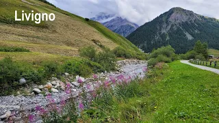 Road cycling Livigno