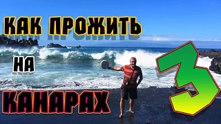 Канарские острова 3! (Советы туристам)  Loro Parque & Siam Park.