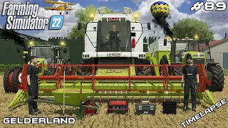 Harvesting WHEAT with CLAAS LEXION 460 | Animals on Gelderland | Farming Simulator 22 | Episode 89