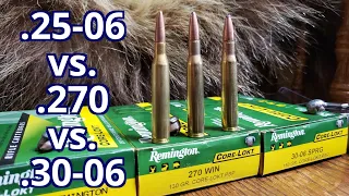 .25-06 rem vs. .270 win vs. .30-06 Spfld Remington Core-lokt Pork and Water Jugs Test