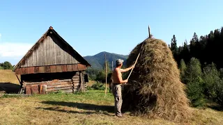 A 100-year-old forest cabin far from civilization in the wild forests. Bushcraft [episode 4]