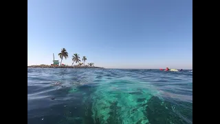 Belize - Silk, Laughing Bird & Moho Caye Snorkeling