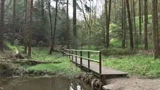 Macclesfield Forest Walk, English Countryside 4K