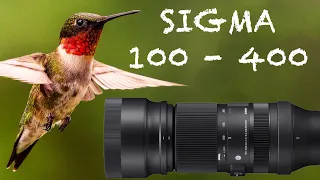 SIGMA 100 - 400 SONY E MOUNT IN 2023 | Review