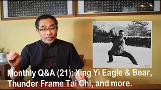 Monthly Q&A (21): Xing Yi Eagle & Bear, Tea, Thunder Frame Tai Chi, Tan Tui,  and more