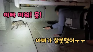 아빠가 출근할때 문을 열고가서 고양이가 나갔어요[고양이탐정]How to find a lost cat