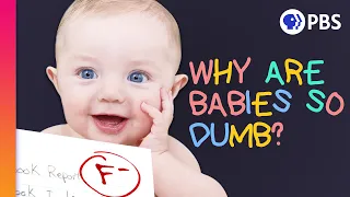 Humans Are Smart. Why Are Babies So Dumb?