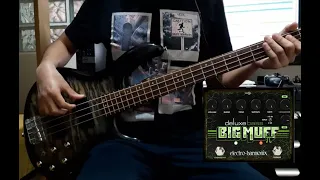 Muse - Supermassive Black Hole (Bass Cover) /Fuzz pedal