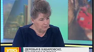 Санитарные рубки деревьев. Утро с Губернией. 30/05/2019. GuberniaTV