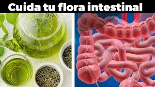 Cómo repoblar tu flora intestinal en 3 días