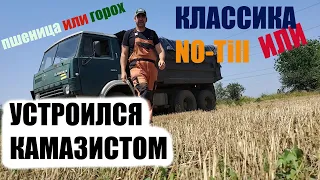 А мы закончили! Делаем выводы Классика или no-till. Пшеница или горох.