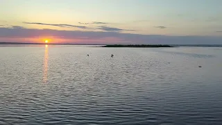 Majestic Florida Sunrise over Paynes Prairie (Lake Alachua) 35 Minutes Nature ASMR