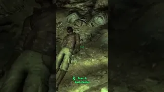 One of Fallout's Best Vaults