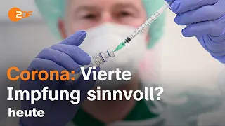 Vierte Corona-Impfung: Für wen ist sie jetzt sinnvoll? | ZDF Morgenmagazin