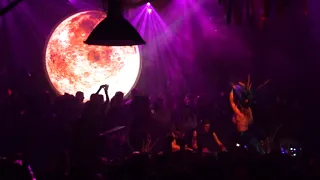 damian lazarus at wild as the moon from the gardens of babylon in the marktkantine