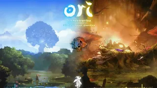 The Last Spirit Guardian  - An Ori Orchestration