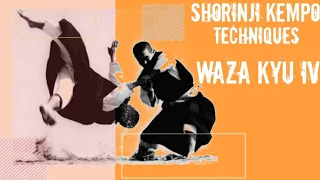 WAZA KYU IV || SHORINJI KEMPO || TECHNIQUES 少林寺拳法