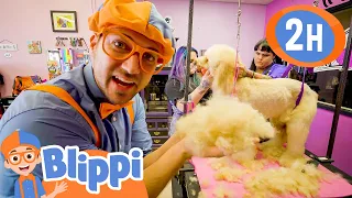 Blippi Visits Cute Animals in the Shelter! | Blippi - Kids Playground | Educational Videos for Kids