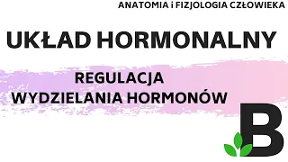 regulacja wydzielania HORMONÓW układ hormonalny  - Anatomia człowieka KOREPETYCJE z BIOLOGII 302