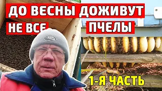 Пасека в ноябре Подготовка пчел в зиму без пчеловода #1