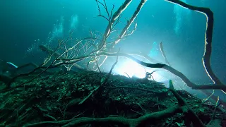 Cenote Angelita : Diving The "Underwater River"