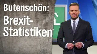 Statistikexperte Butenschön zum Brexit | extra 3 | NDR