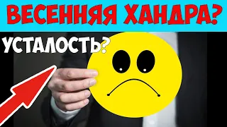 ВАС ОБМАНЫВАЮТ! Весенняя хандра и усталость. Что говорит наука? Как избавиться от усталости?