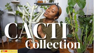 i NEED your help! | Entire Cacti Collection  | Winter 2022