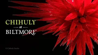 “Chihuly at Biltmore” Exhibition Teaser | Biltmore, Asheville, NC (2024)