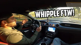 WHIPPLE SUPERCHARGED MUSTANG FIRST DRIVE REACTION! From a ProCharged Mustang Owner!