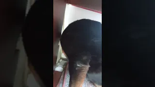 Rottweiler Attack / Angry Rott