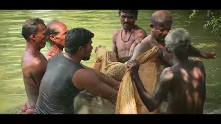 Salient Achievements of Indian Council of Agriculture Research