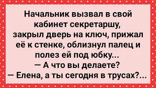 Начальник Полез Секретарше Под Юбку! Сборник Свежих Анекдотов! Юмор!