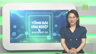 Tổng đài nông nghiệp, ngày 08/05/2024 (từ 10h25 - 11h25) | VTC16