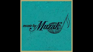 Music by Muzak Vertical Transcription Archive part 5 (1 Year Anniversary)