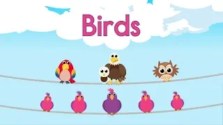 Bird Song